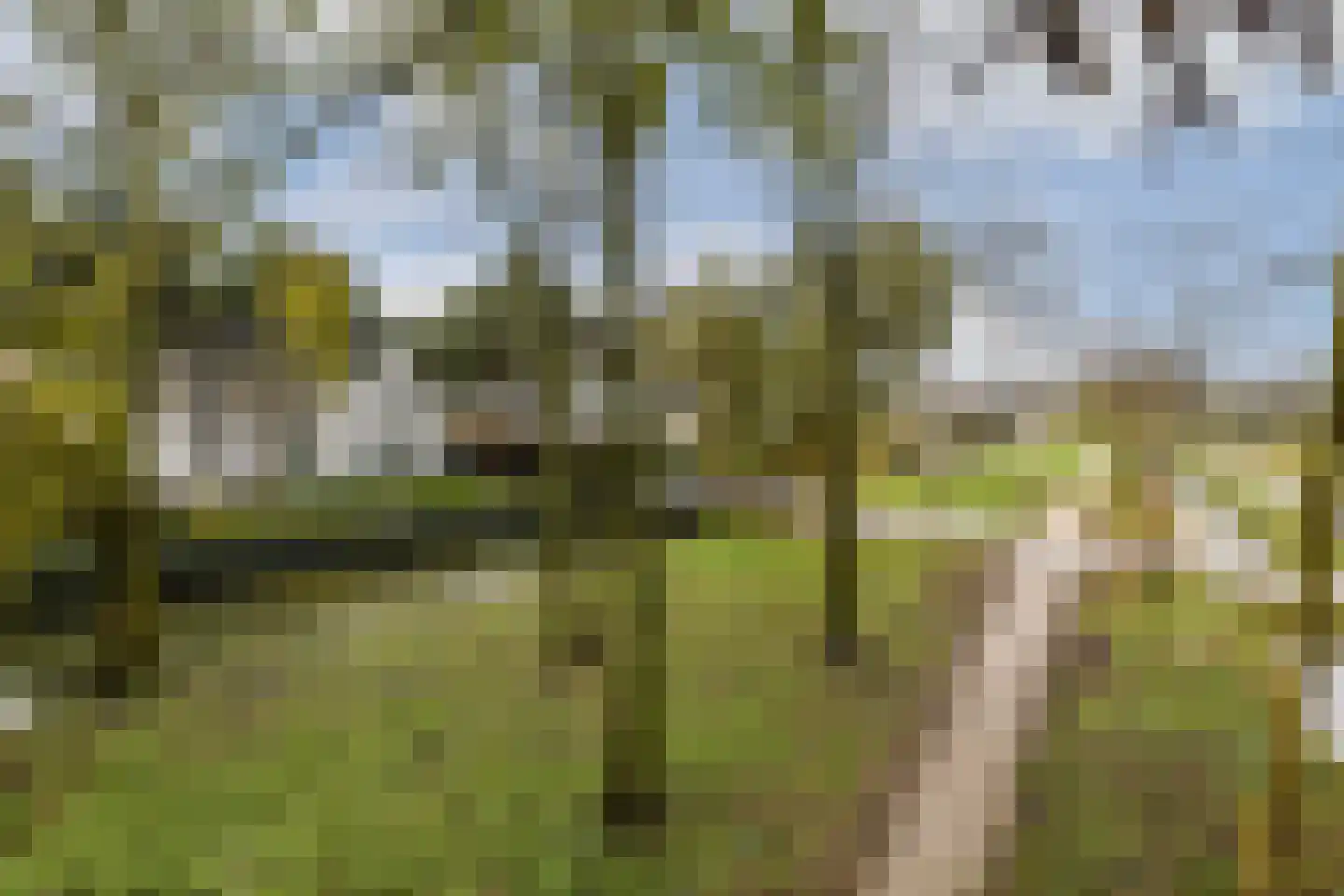 Vlasakker 80 Schiedam thumbnail 35