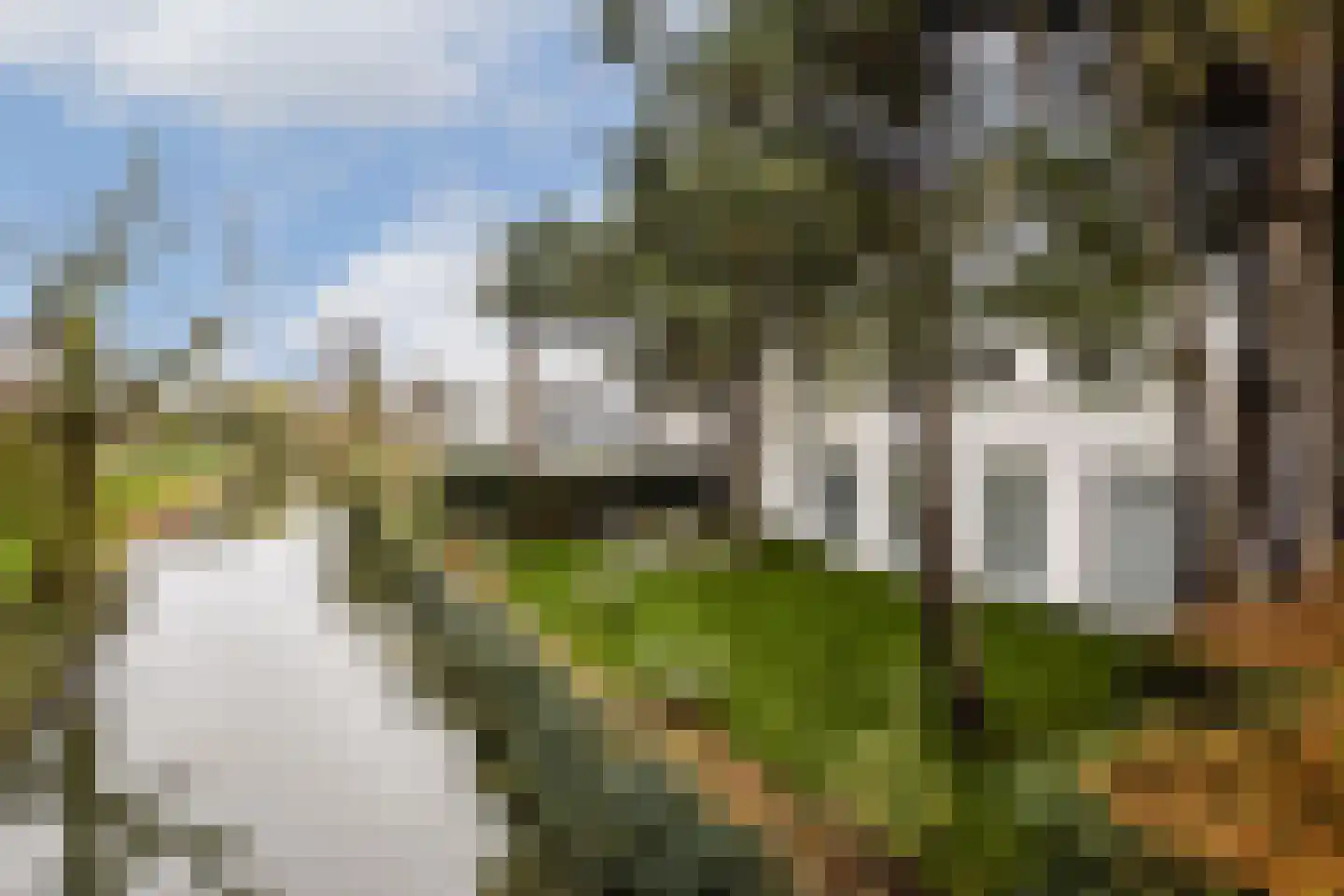 Vlasakker 80 Schiedam thumbnail 37
