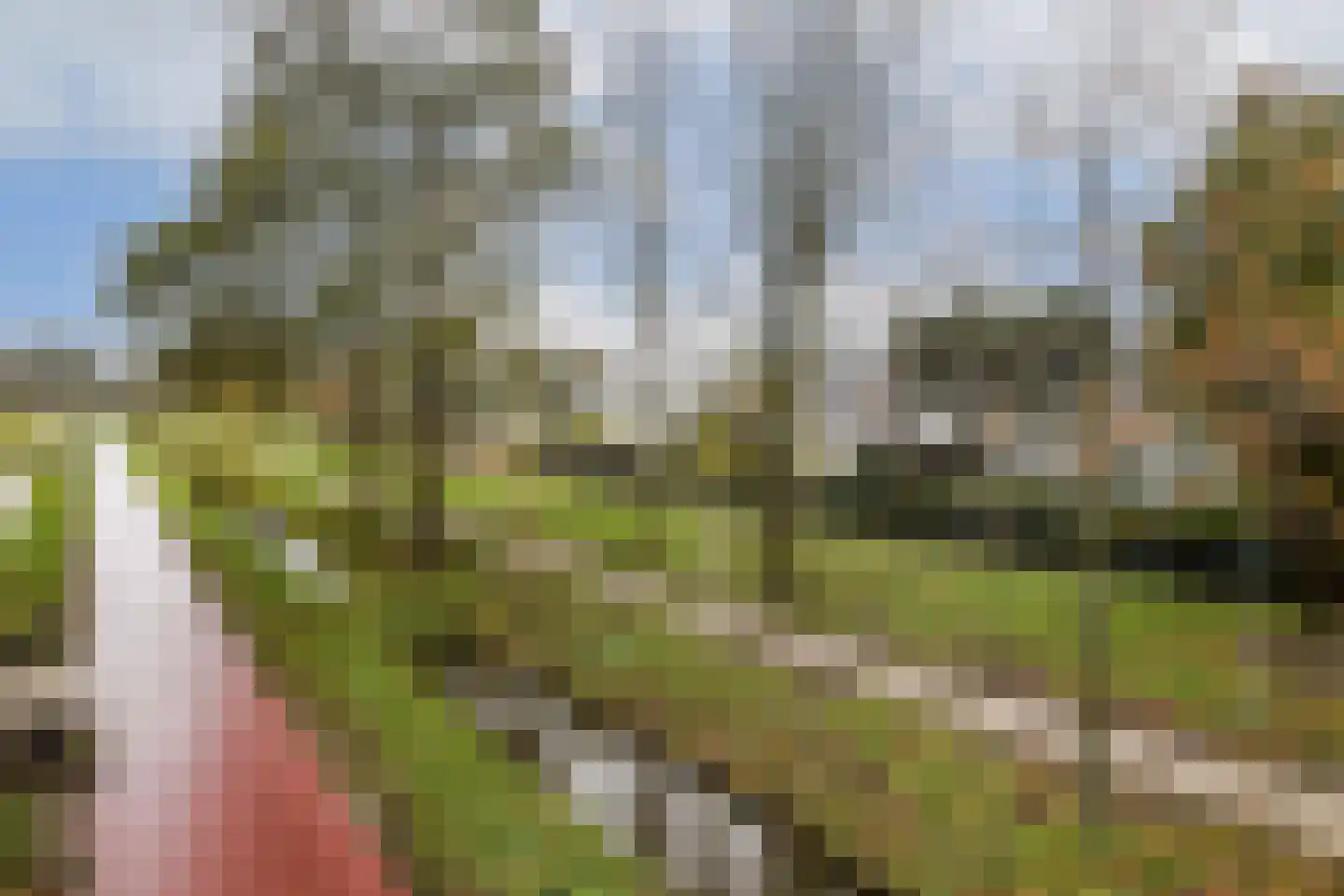 Vlasakker 80 Schiedam thumbnail 39