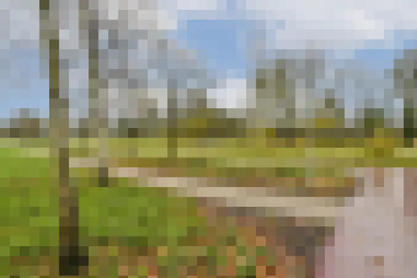 Vlasakker 80 Schiedam thumbnail 40