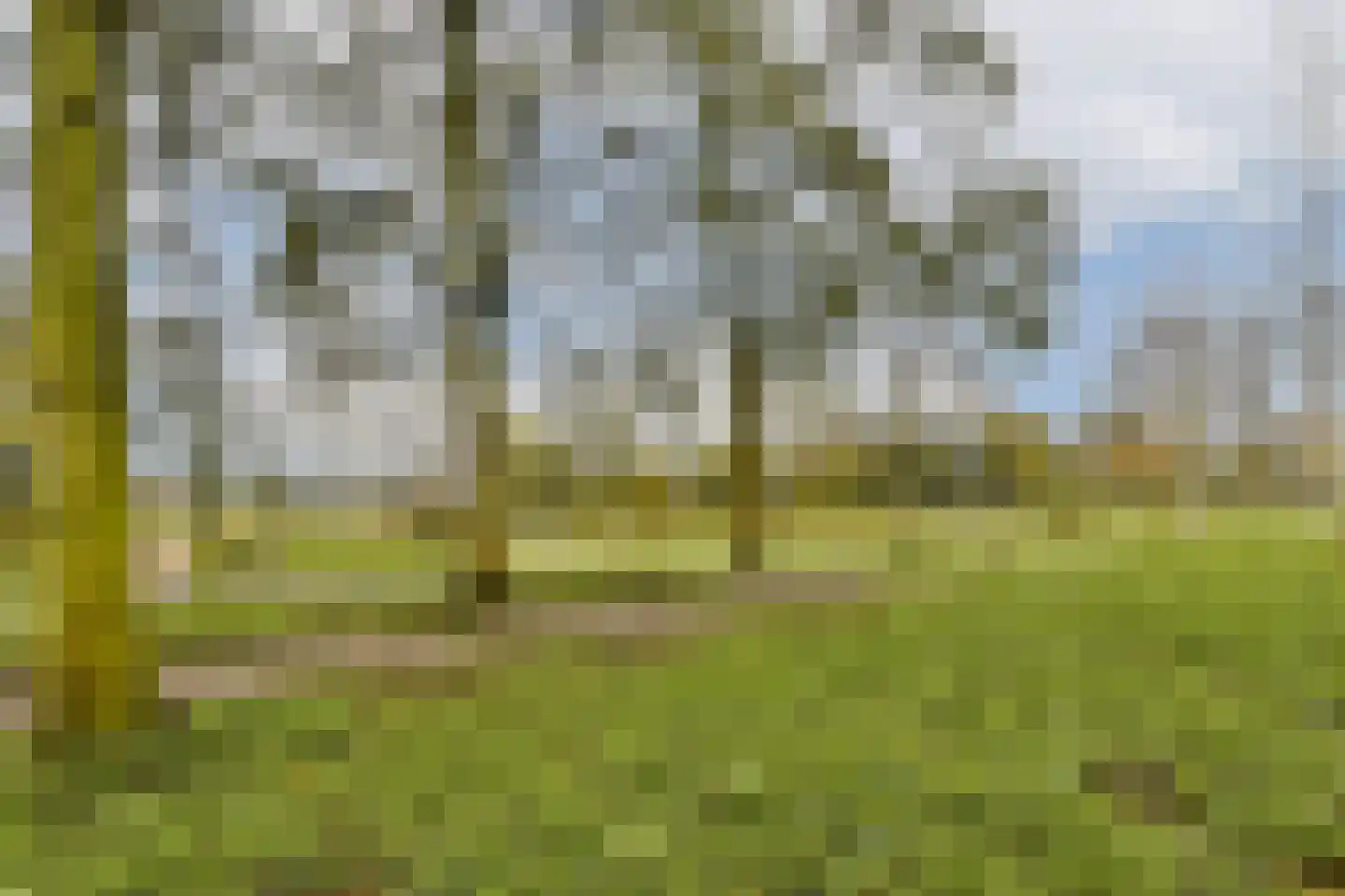 Vlasakker 80 Schiedam thumbnail 41