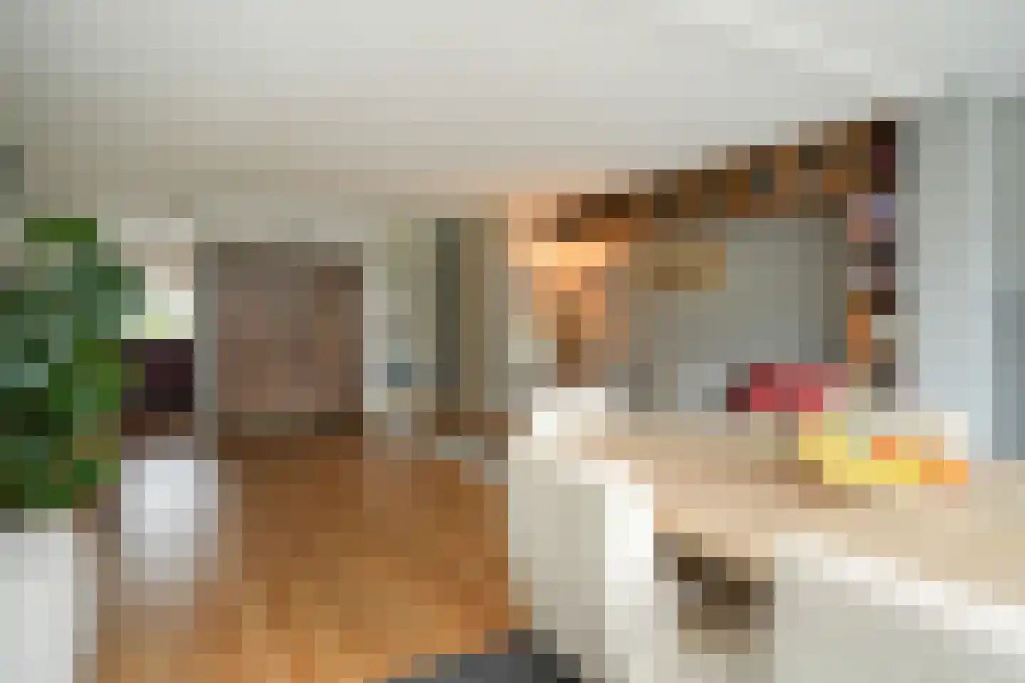 Vlasakker 82 Wijk en Aalburg thumbnail 10