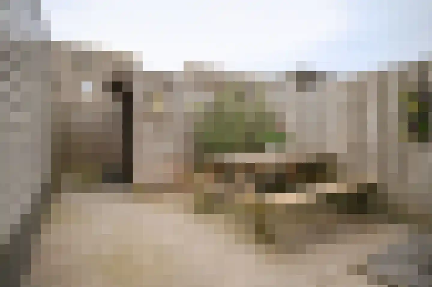 Vlasakker 82 Wijk en Aalburg thumbnail 31