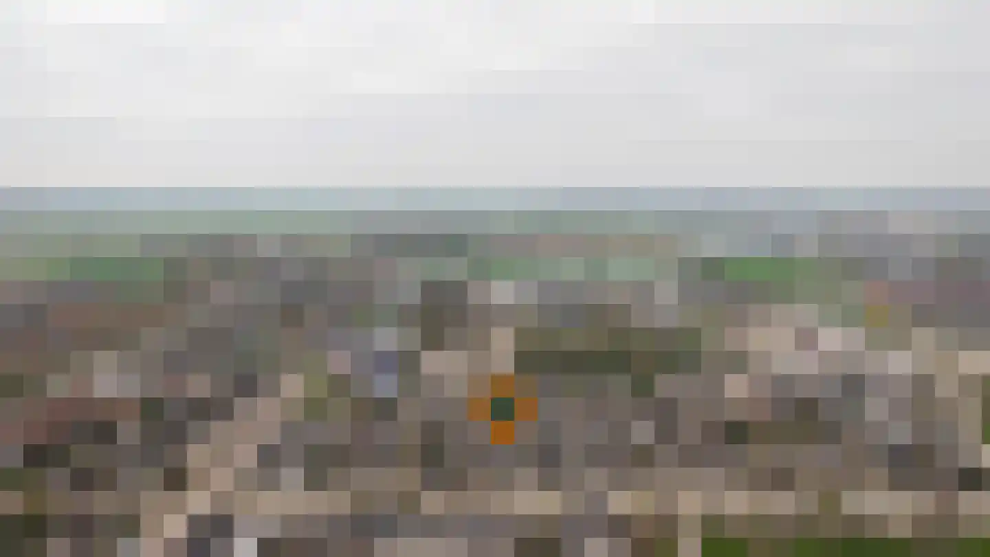 Vlasakker 82 Wijk en Aalburg thumbnail 43