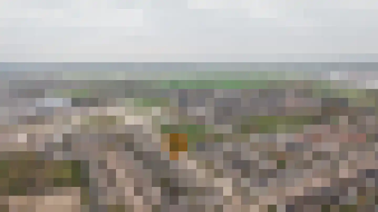 Vlasakker 82 Wijk en Aalburg thumbnail 44