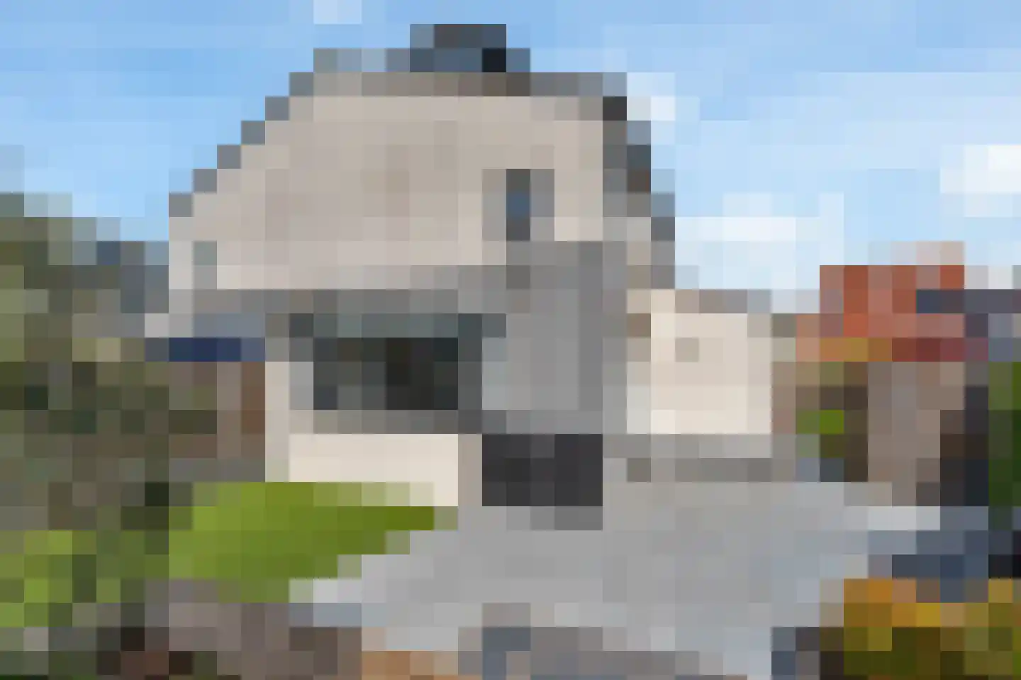 Vlasakker 90 Schiedam thumbnail 33