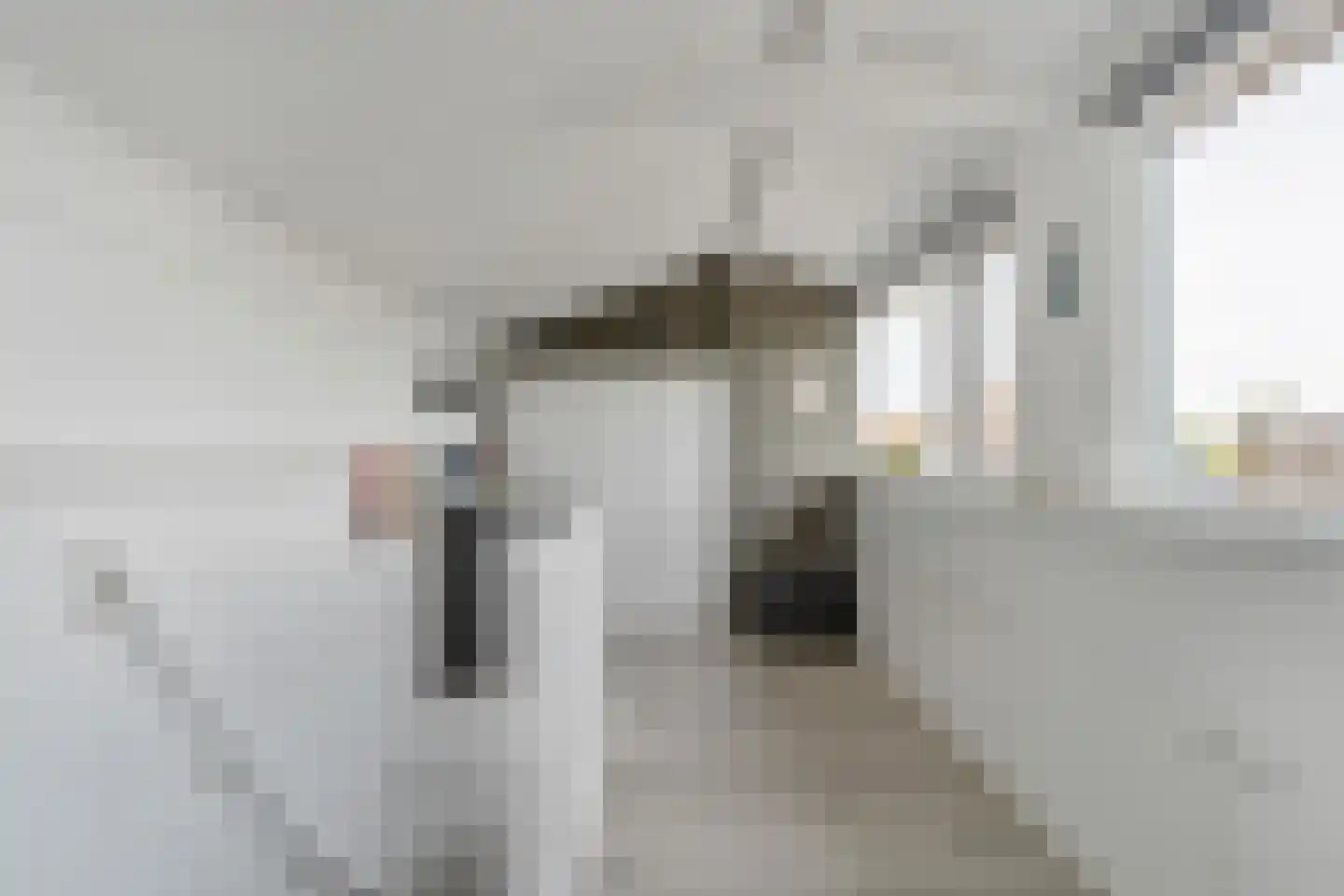 Vlasakker 90 Schiedam thumbnail 42