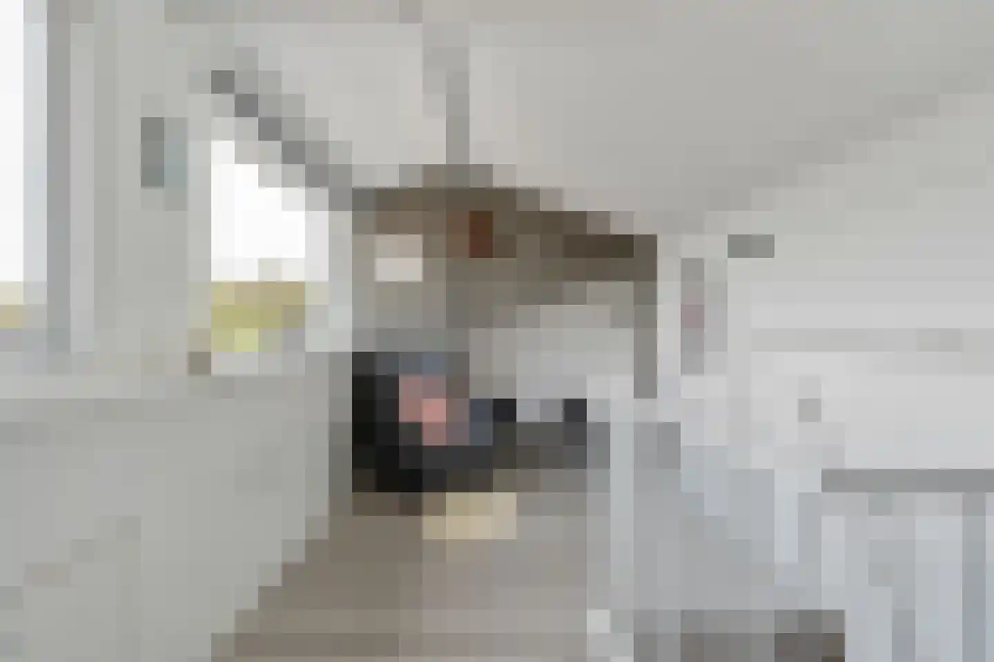 Vlasakker 90 Schiedam thumbnail 43