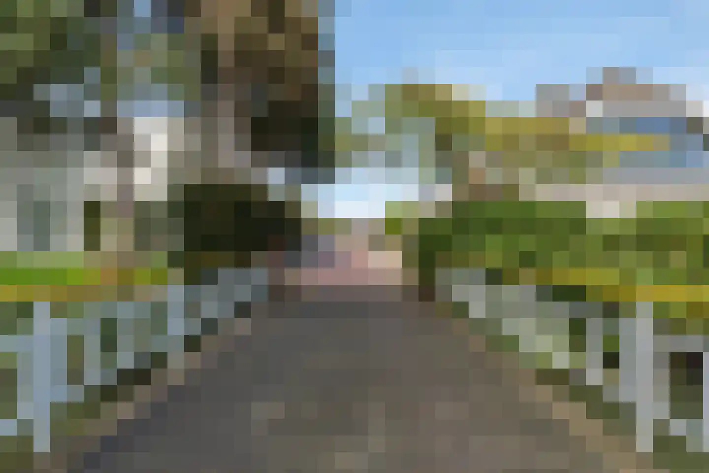 Vlasakker 90 Schiedam thumbnail 45