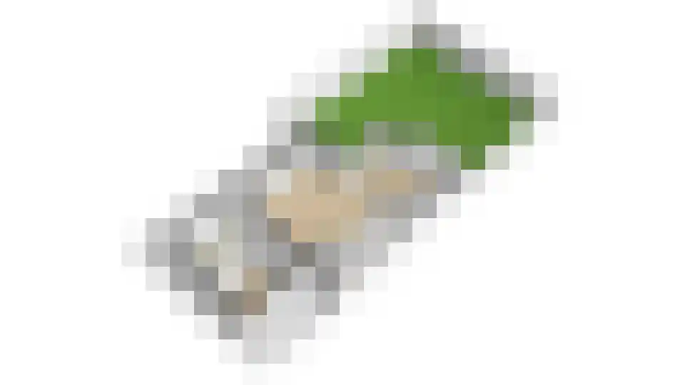 Vlasakker 90 Schiedam thumbnail 50