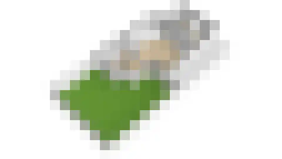 Vlasakker 90 Schiedam thumbnail 54