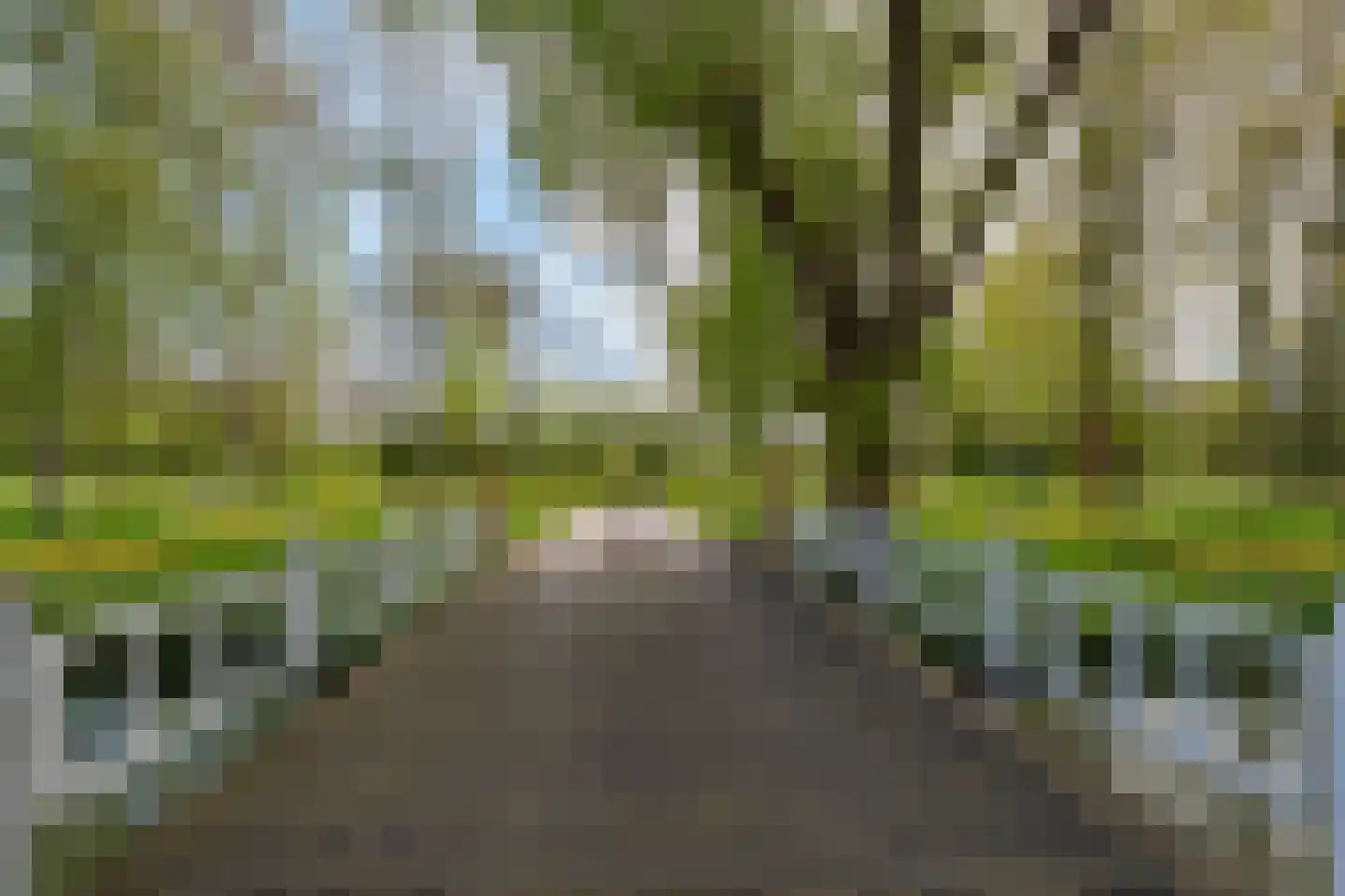 Vlasakker 90 Schiedam thumbnail 7
