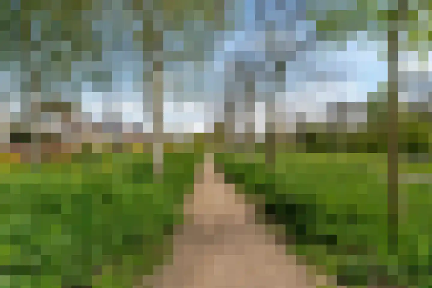 Vlasakker 90 Schiedam thumbnail 8