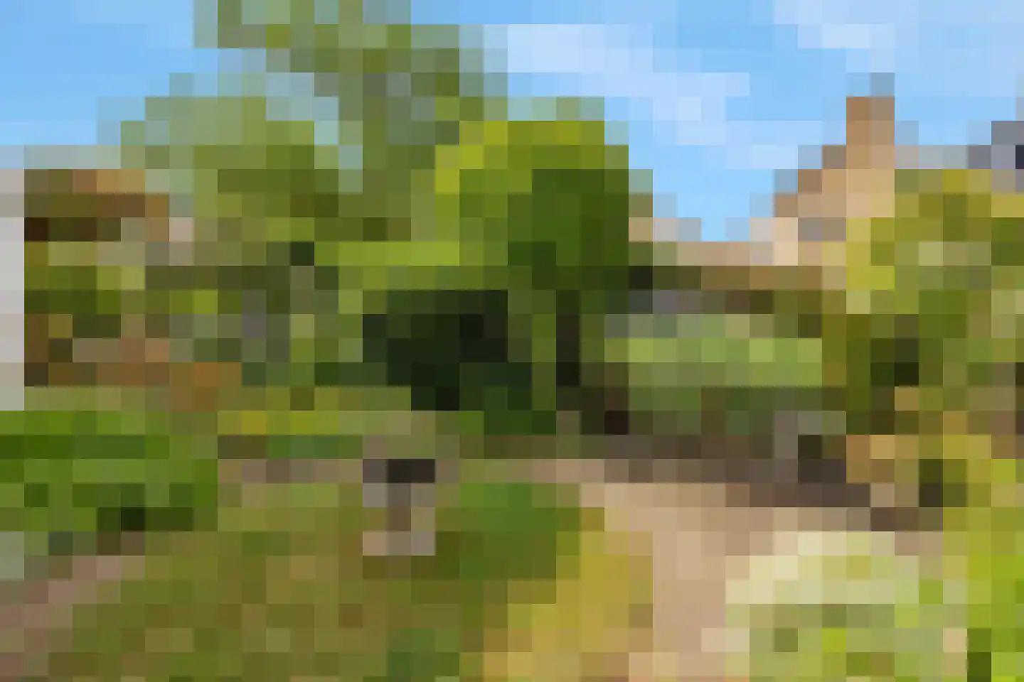 Vlasakkerlaan 1 Hellevoetsluis thumbnail 32
