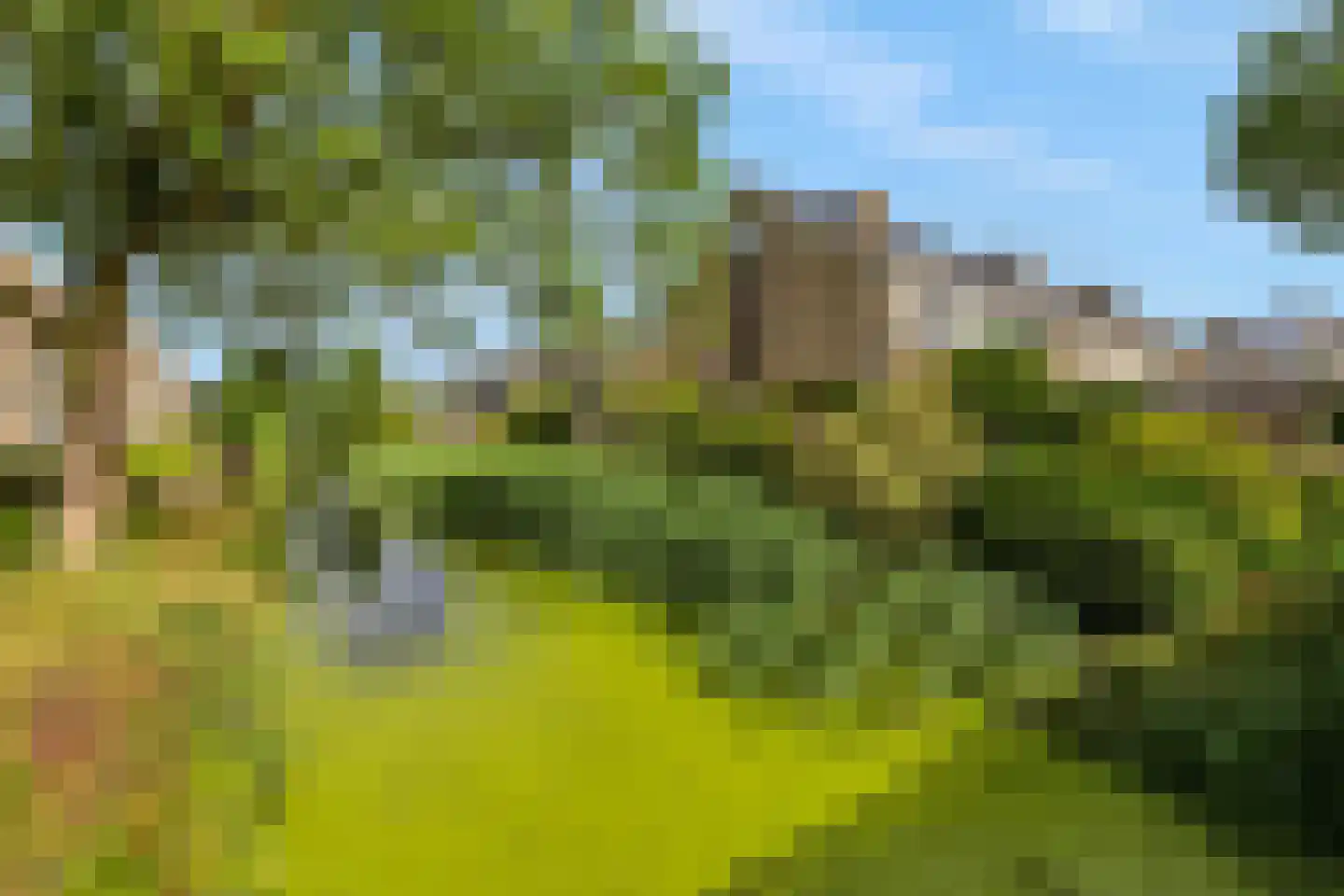Vlasakkerlaan 1 Hellevoetsluis thumbnail 9
