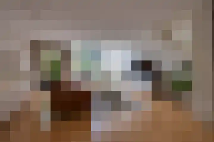 Vlasakkers 12 Heerjansdam thumbnail 11