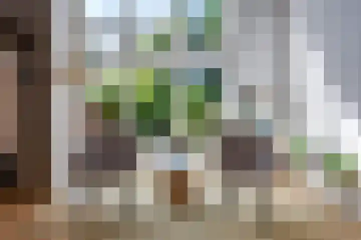 Vlasakkers 12 Heerjansdam thumbnail 12