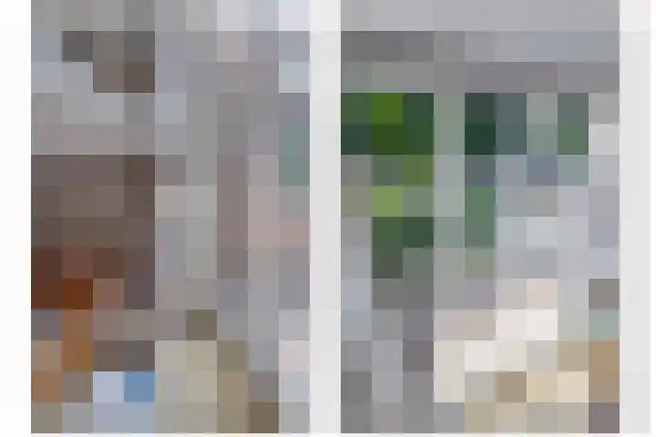 Vlasakkers 12 Heerjansdam thumbnail 13