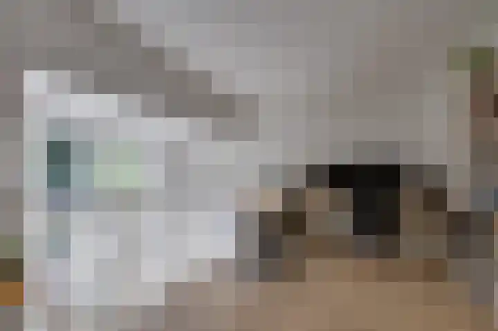 Vlasakkers 12 Heerjansdam thumbnail 24