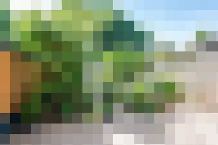 Vlasakkers 12 Heerjansdam thumbnail 37
