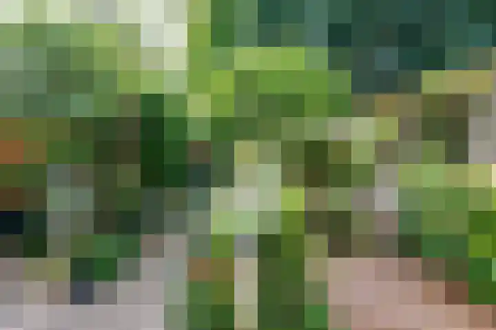 Vlasakkers 12 Heerjansdam thumbnail 38