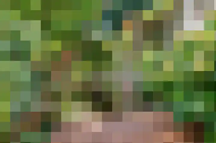 Vlasakkers 12 Heerjansdam thumbnail 39