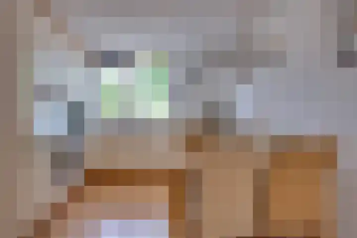 Vlasakkers 12 Heerjansdam thumbnail 4