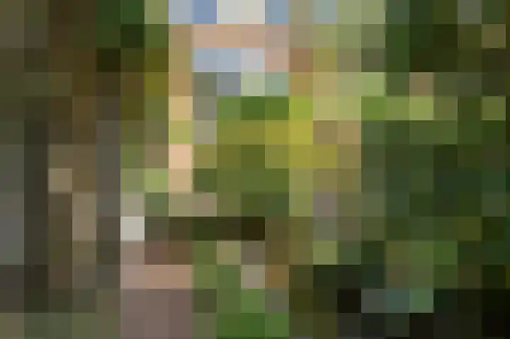 Vlasakkers 12 Heerjansdam thumbnail 44