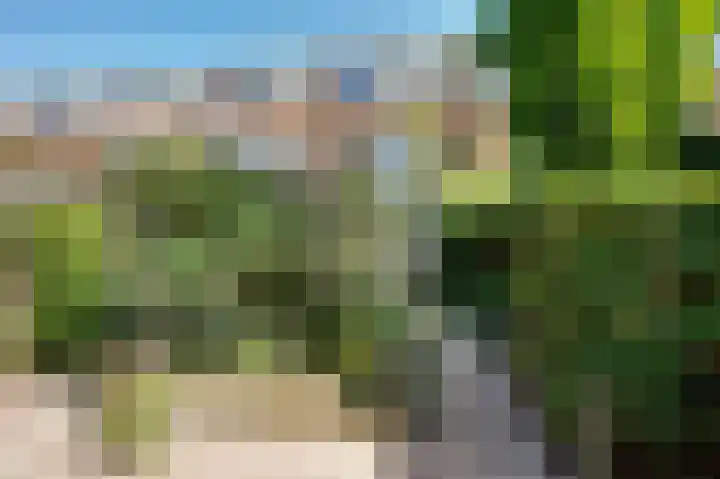 Vlasakkers 12 Heerjansdam thumbnail 5