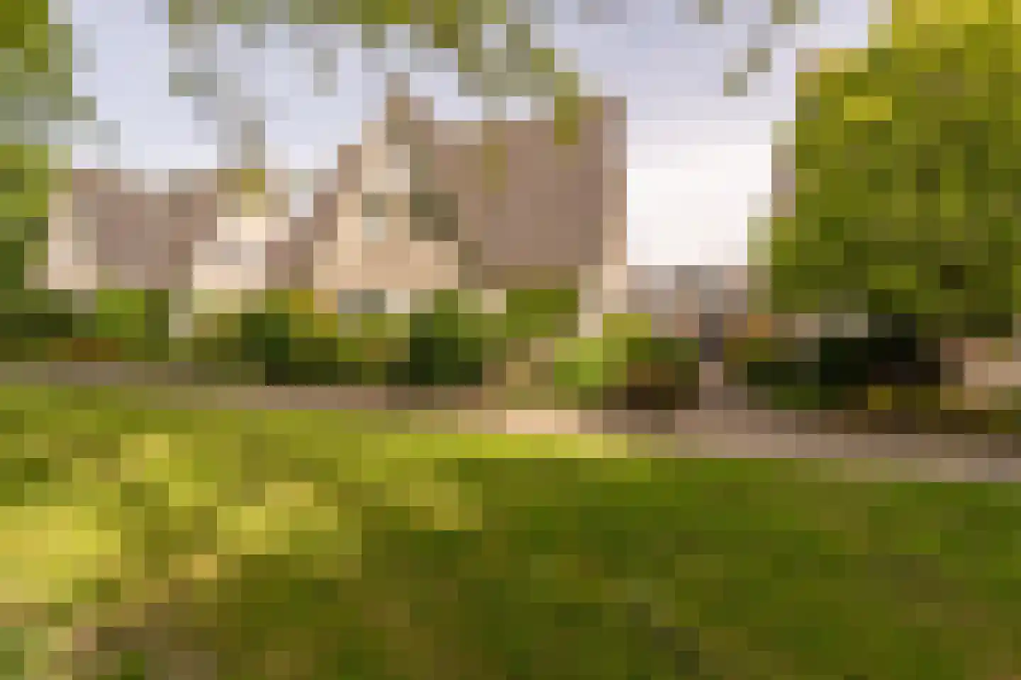 Vlasakkers 18 in Westmaas