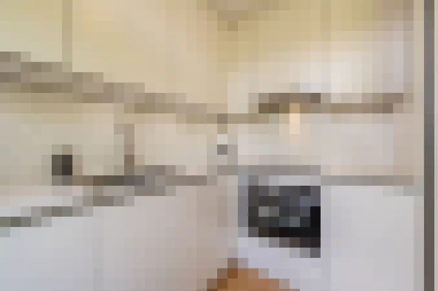Vlasakkers 18 Westmaas thumbnail 12