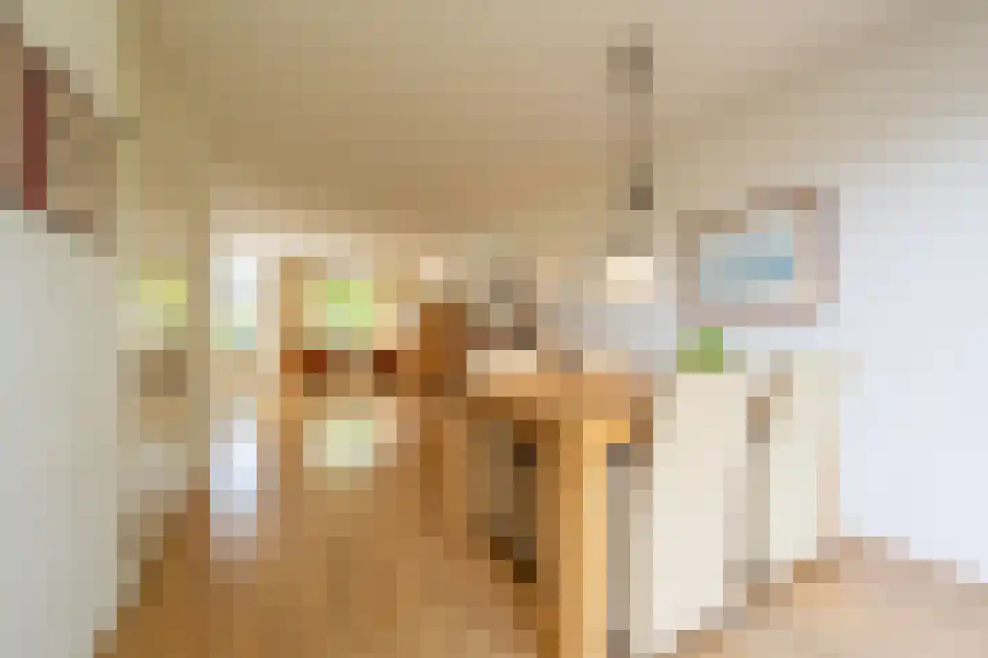 Vlasakkers 18 Westmaas thumbnail 14