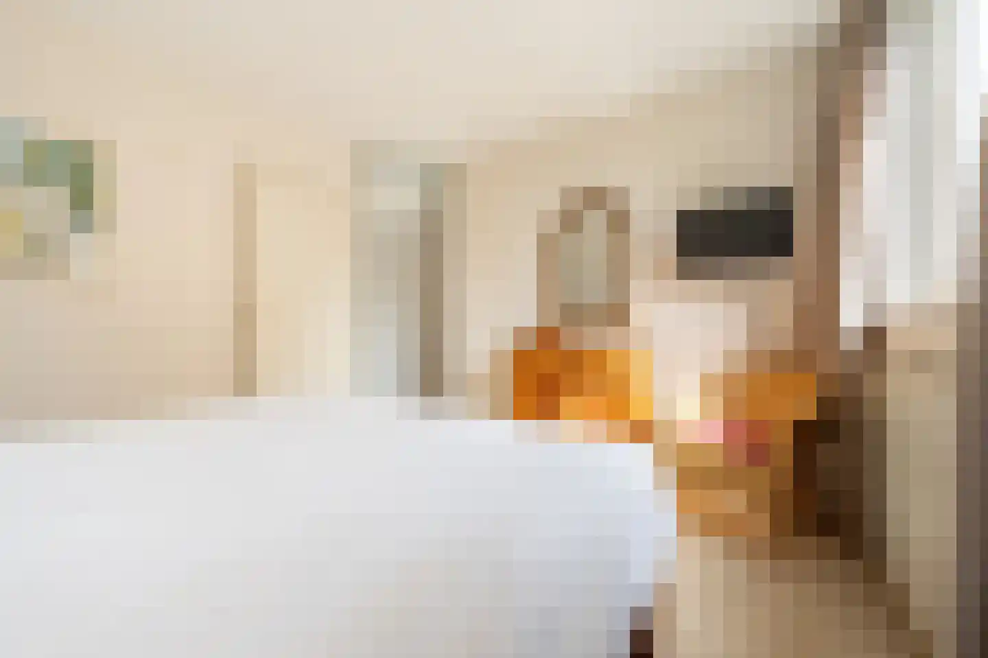 Vlasakkers 18 Westmaas thumbnail 17