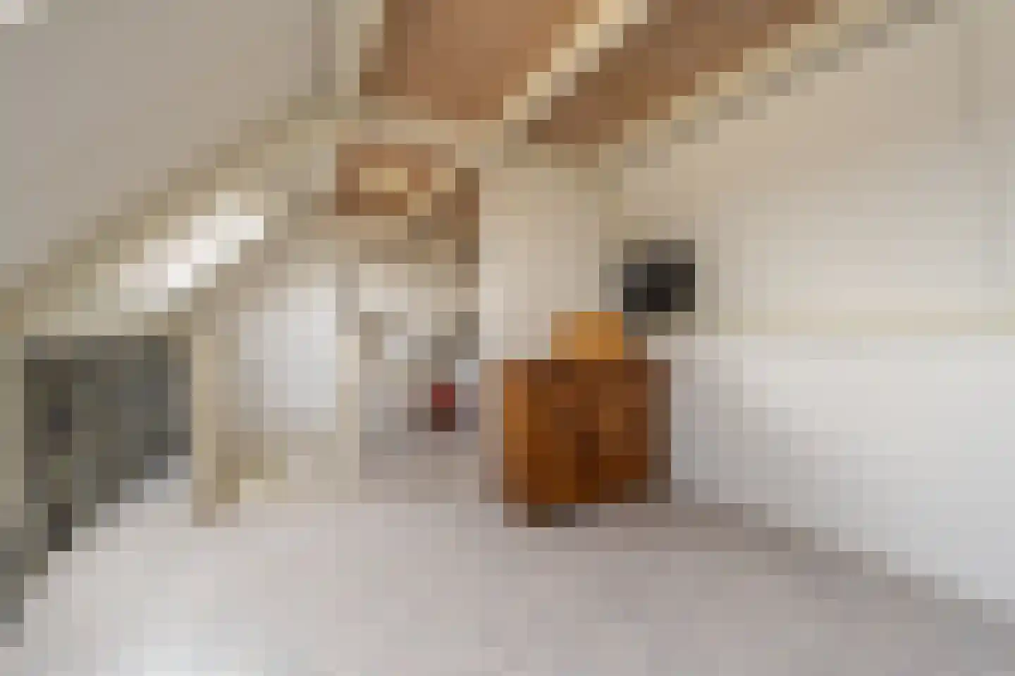 Vlasakkers 18 Westmaas thumbnail 26