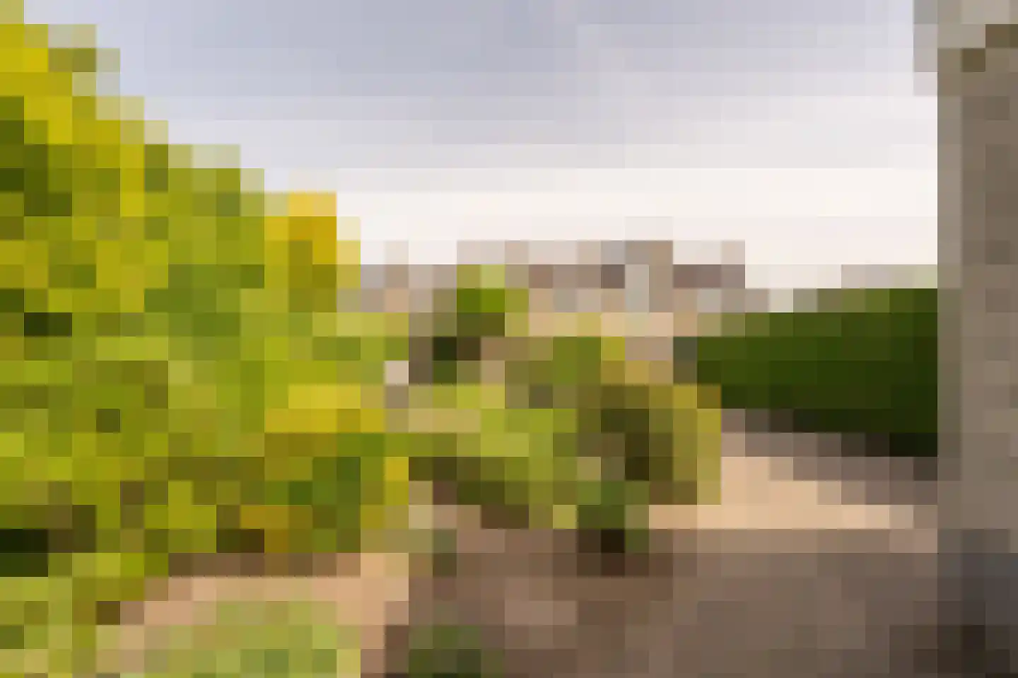 Vlasakkers 18 Westmaas thumbnail 30