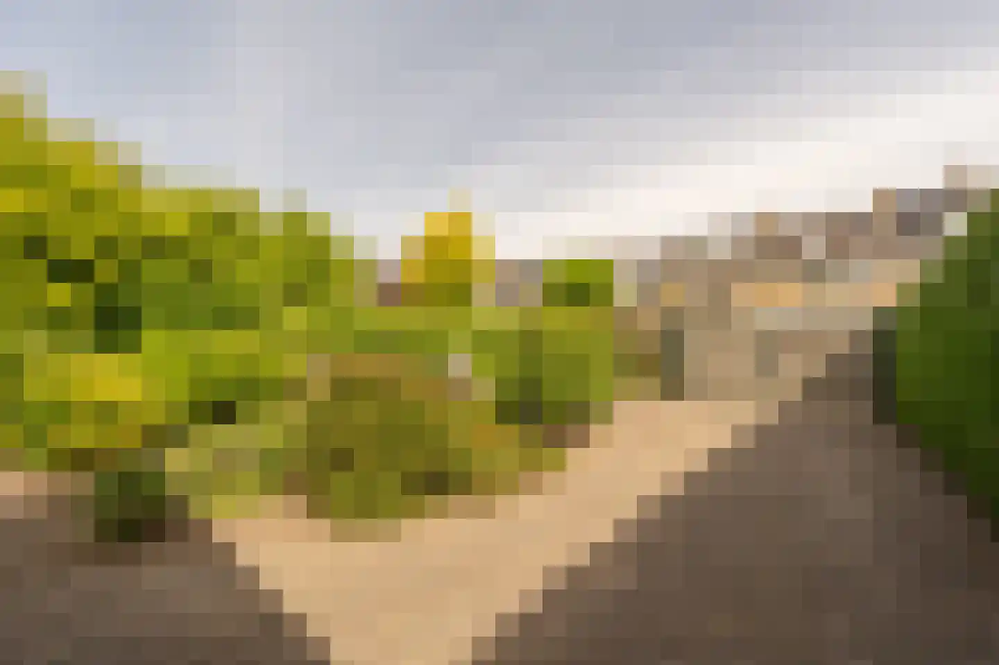 Vlasakkers 18 Westmaas thumbnail 31