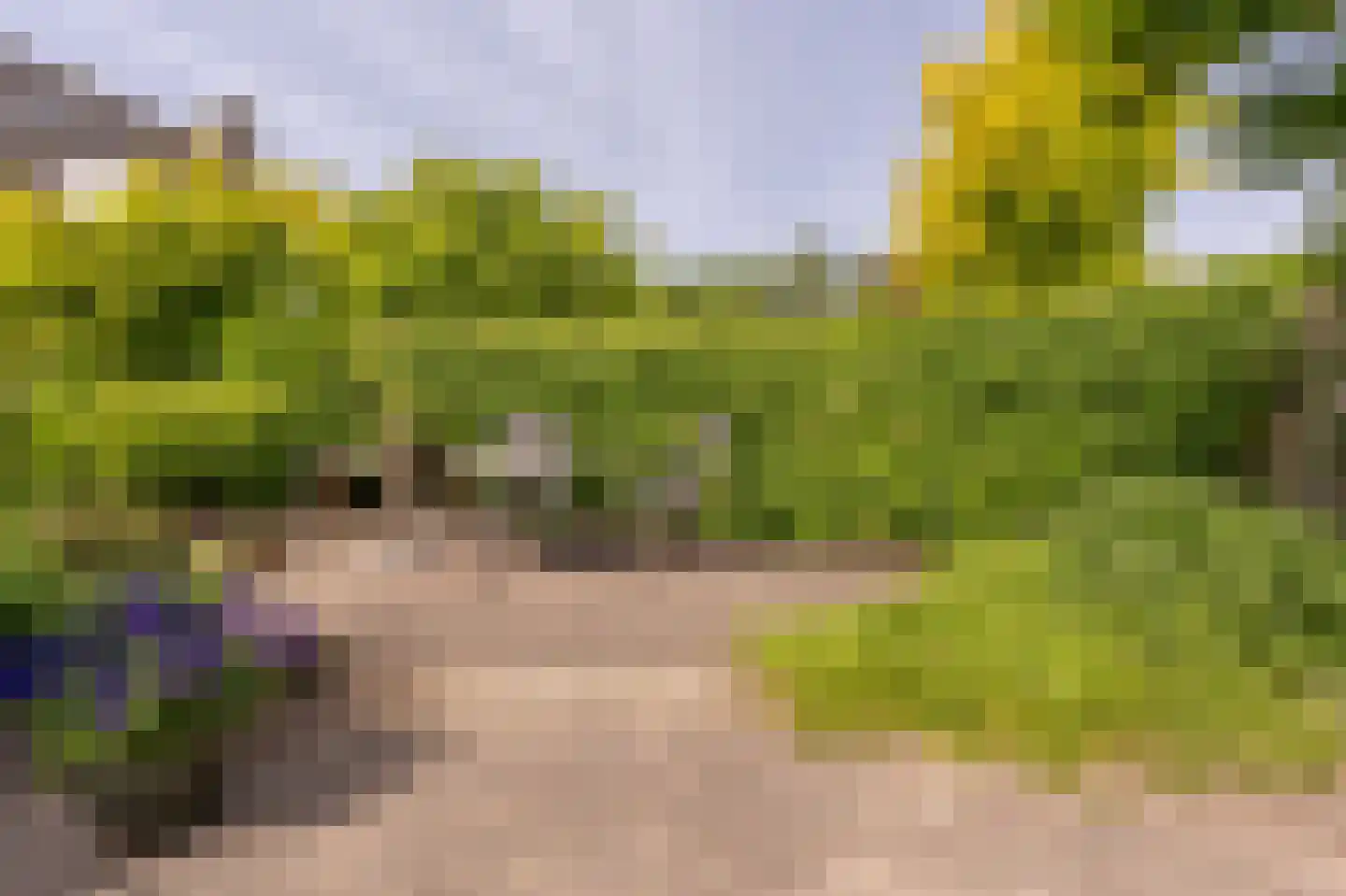 Vlasakkers 18 Westmaas thumbnail 32
