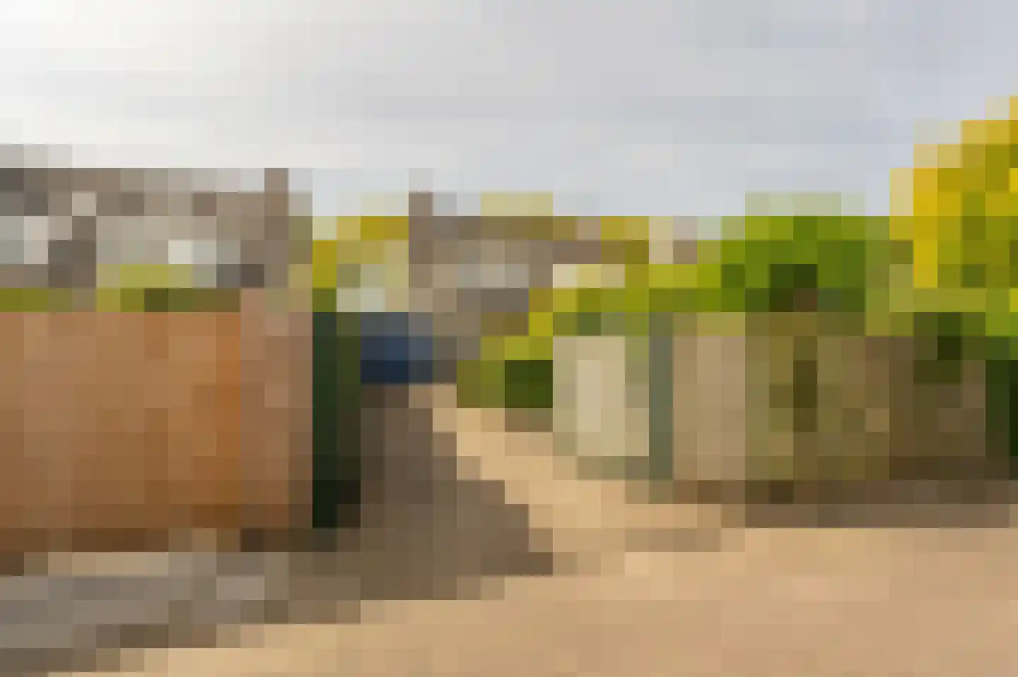 Vlasakkers 18 Westmaas thumbnail 34
