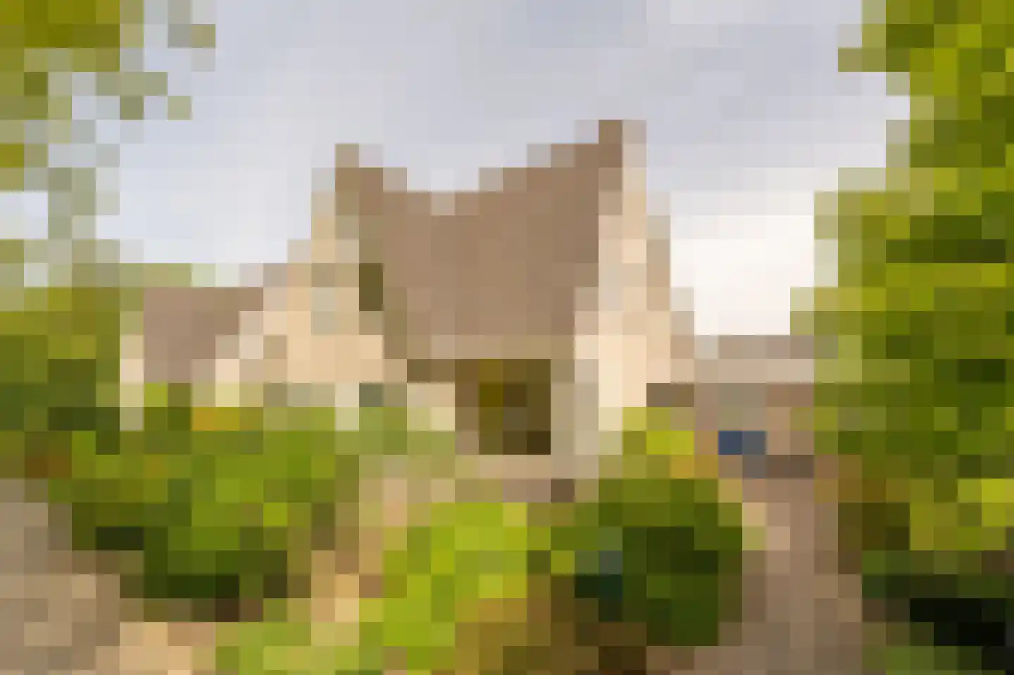 Vlasakkers 18 Westmaas thumbnail 35