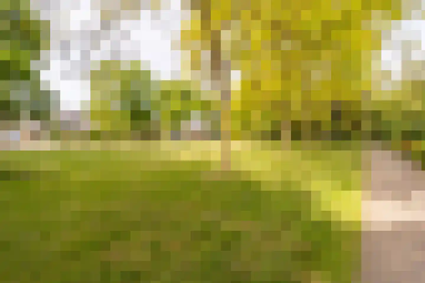 Vlasakkers 18 Westmaas thumbnail 36