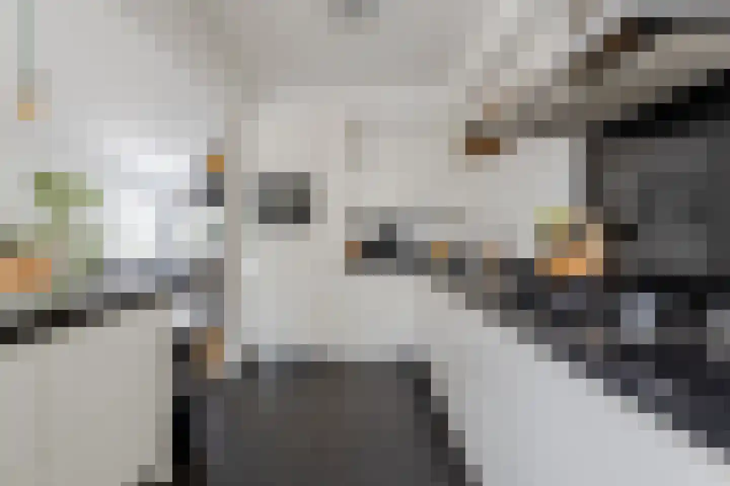 Vlasakkers 3 Westmaas thumbnail 14