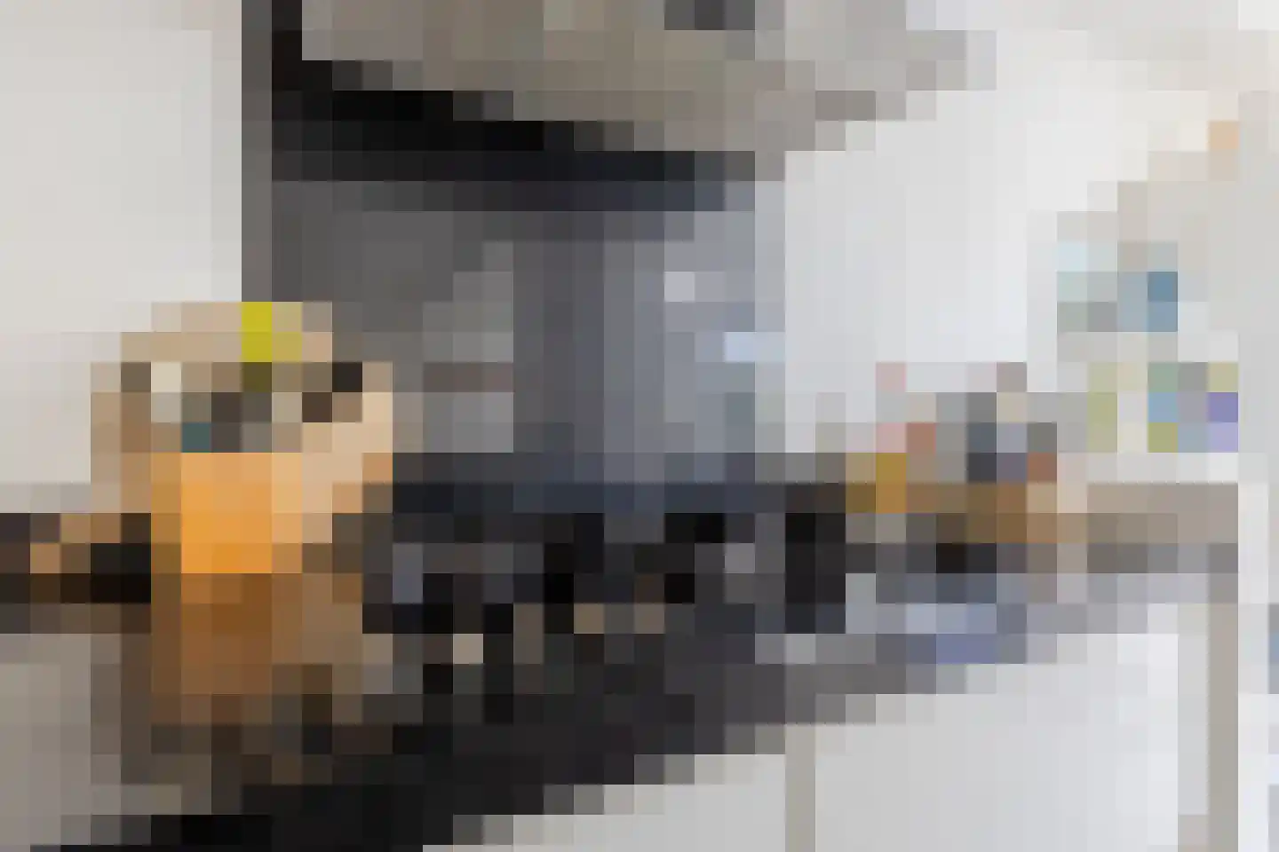 Vlasakkers 3 Westmaas thumbnail 16