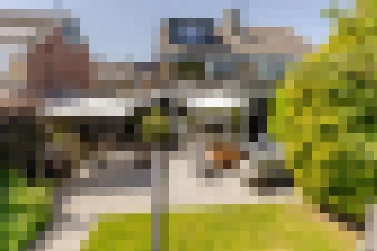 Vlasakkers 3 Westmaas thumbnail 31