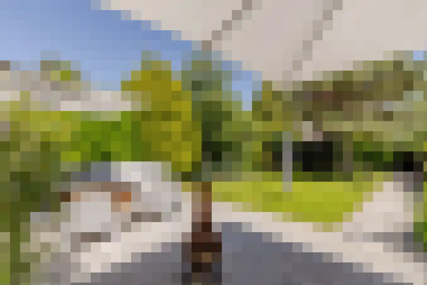 Vlasakkers 3 Westmaas thumbnail 32