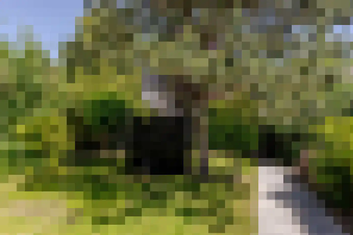 Vlasakkers 3 Westmaas thumbnail 33