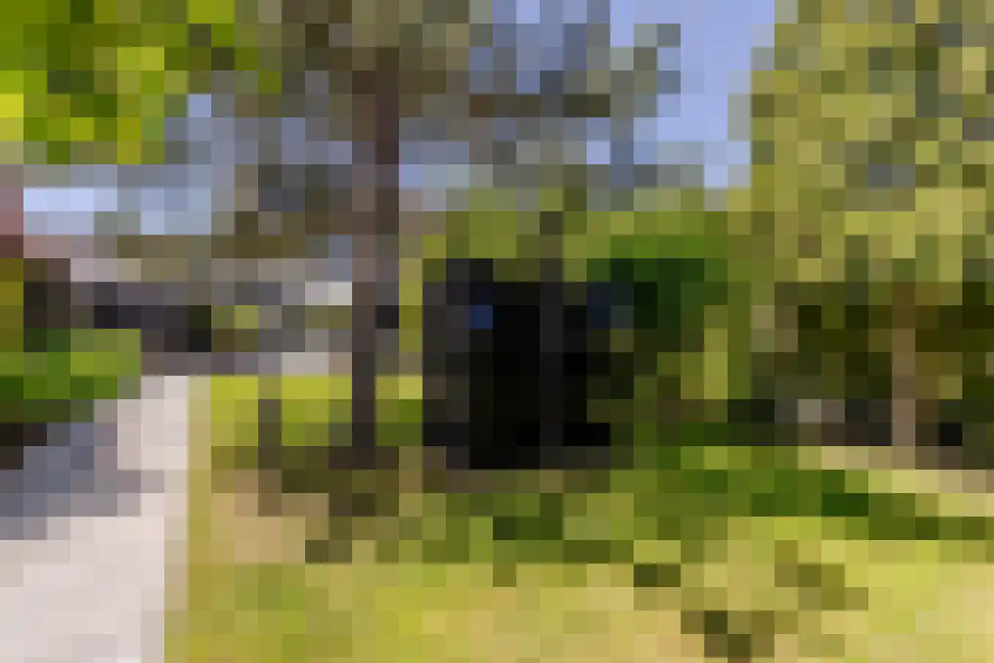 Vlasakkers 3 Westmaas thumbnail 34
