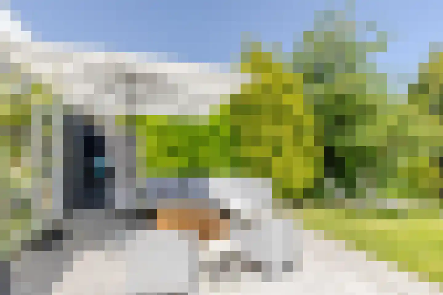 Vlasakkers 3 Westmaas thumbnail 4