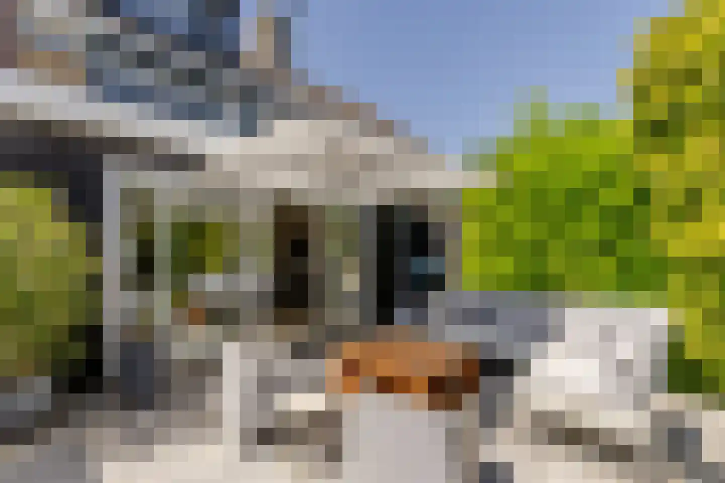 Vlasakkers 3 Westmaas thumbnail 5
