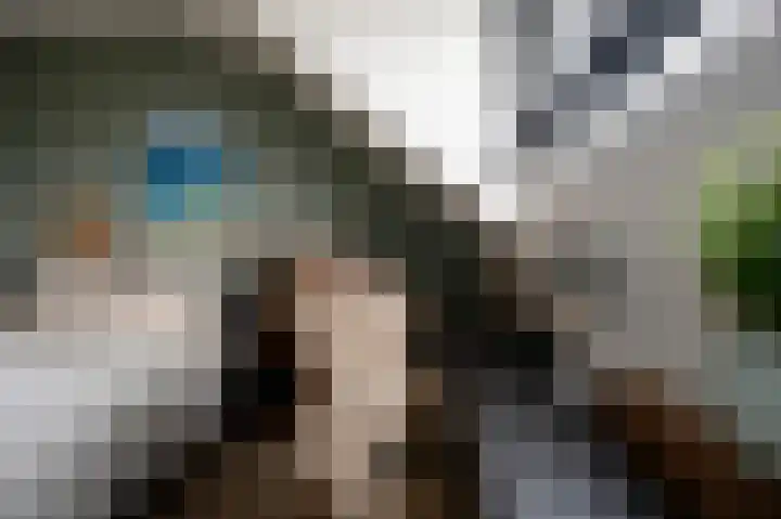 Vlasakkers 8 Buinen thumbnail 28