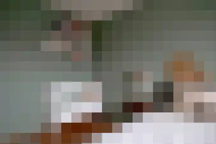 Vlasakkers 8 Buinen thumbnail 29